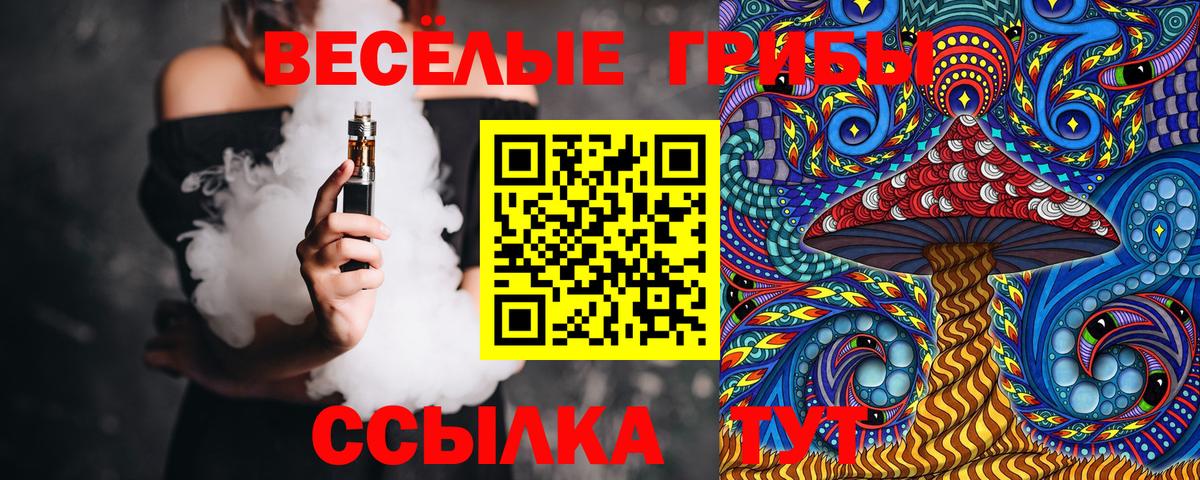 закладки  Вход с VPN  Хабаровск  Галлюциногенные грибы Magic Shrooms 