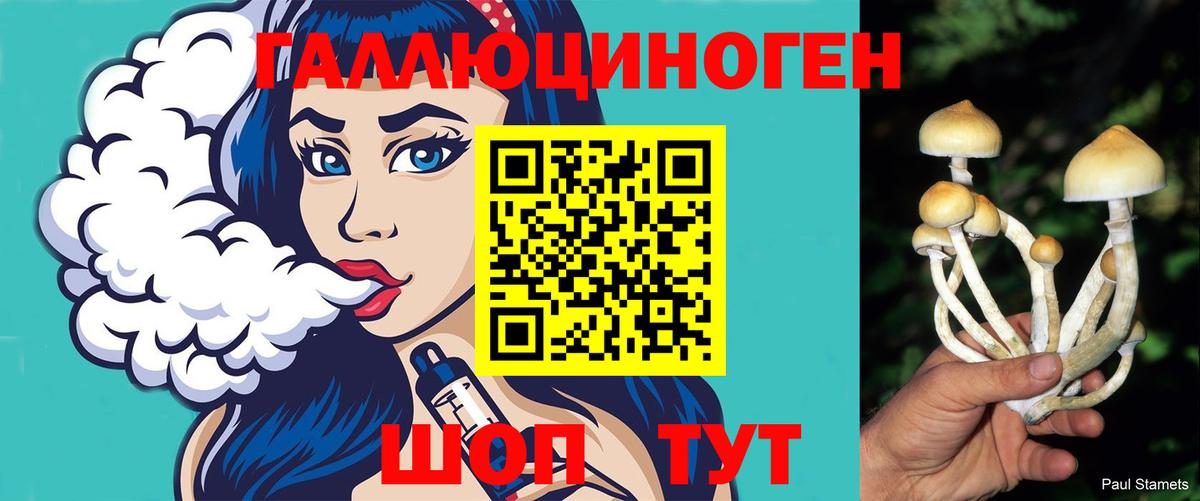 Галлюциногенные грибы GOLDEN TEACHER Хабаровск
